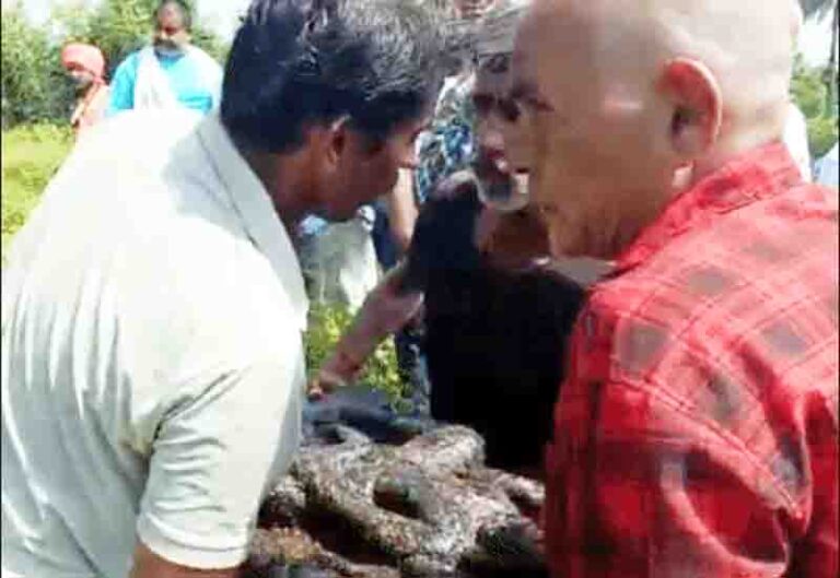 देवी की मूर्ति पर कर दिया पेशाब… इलाके में मचा बबाल