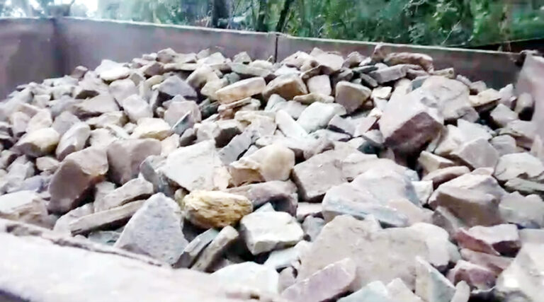 पत्थर का अवैध परिवहन करते वन विभाग ने पकड़ा ट्रैक्टर, हुई कार्यवाही